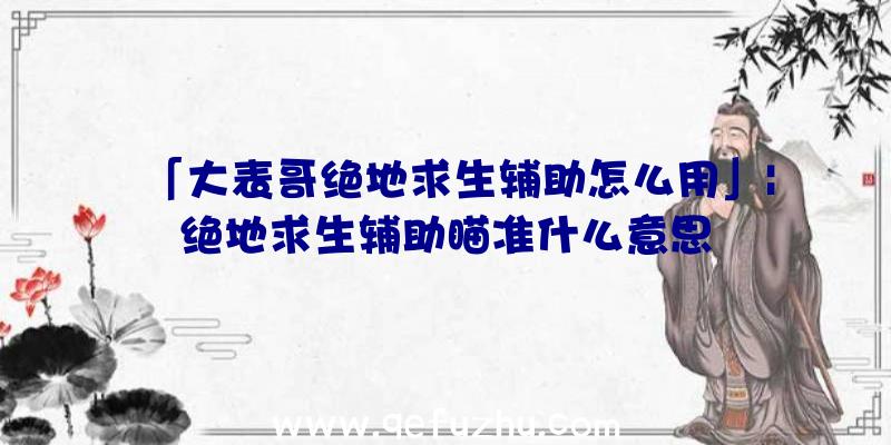「大表哥绝地求生辅助怎么用」|绝地求生辅助瞄准什么意思